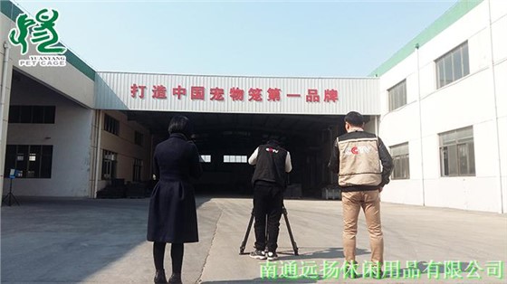 狗籠子批發(fā)價(jià)格